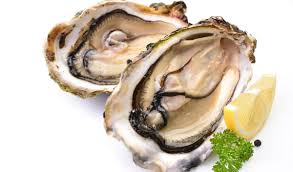 oesters